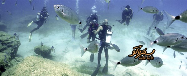 غواصی در مارماریس 